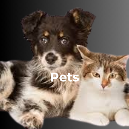 Pets